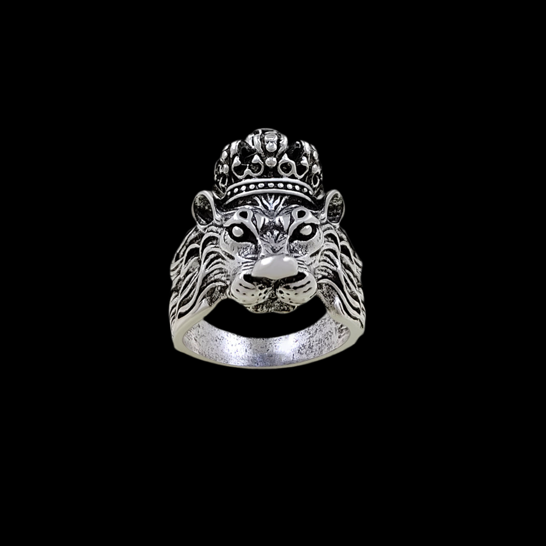 Men’s Silver Plated Chain & Lion Ring Combo Set